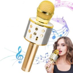 Išmanusis karaoke mikrofonas kaina internetu