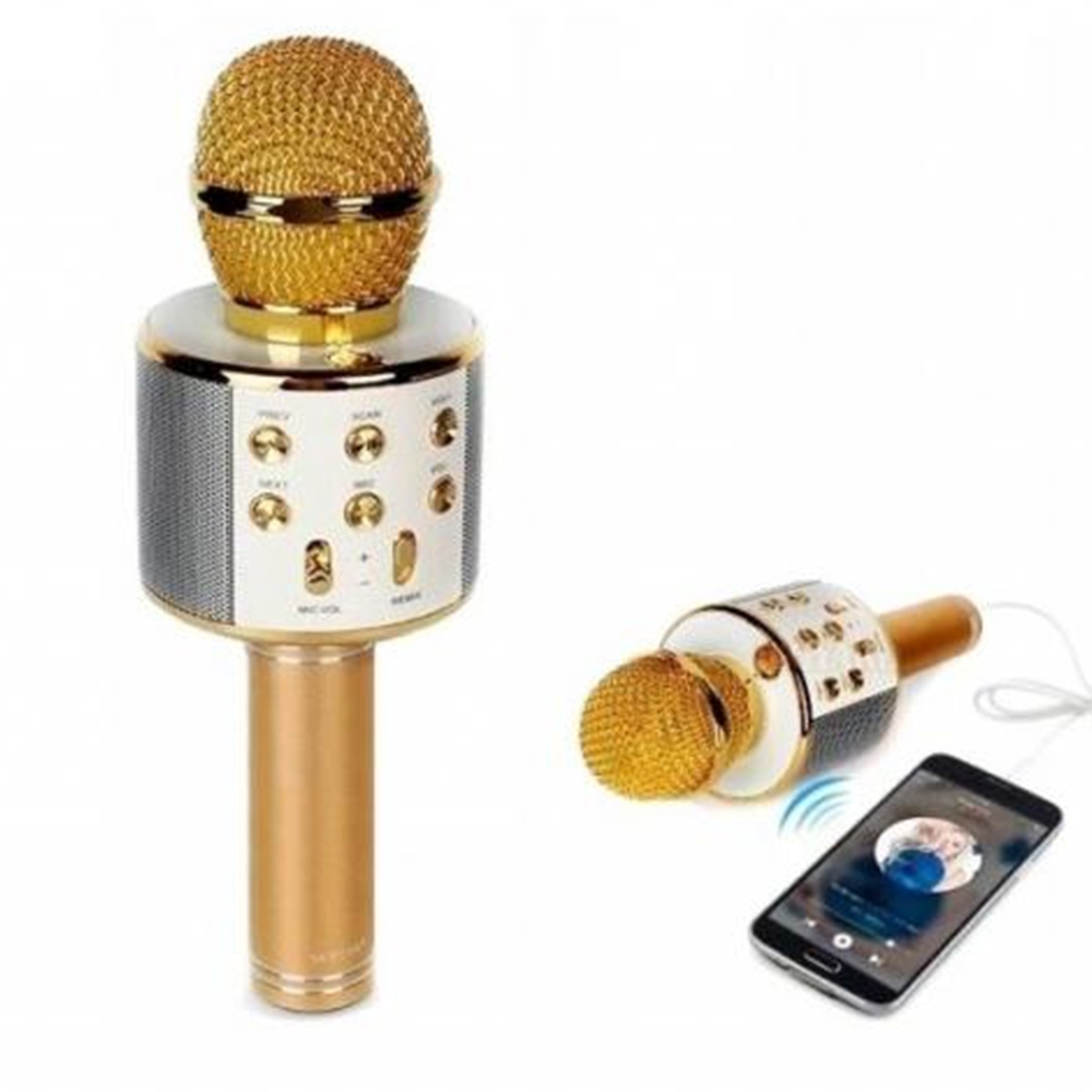 Išmanusis karaoke mikrofonas kaina internetu