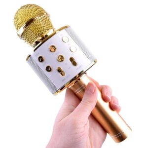 Išmanusis karaoke mikrofonas kaina internetu