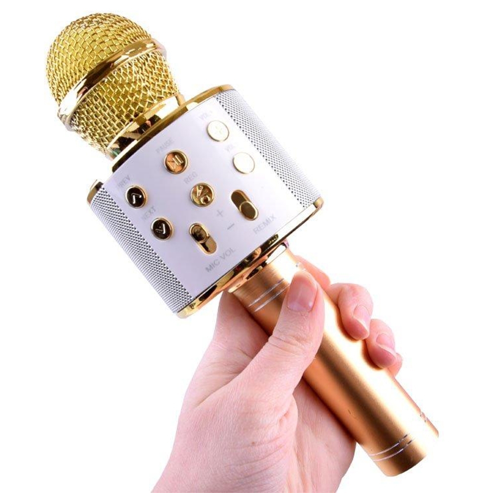 Išmanusis karaoke mikrofonas kaina internetu