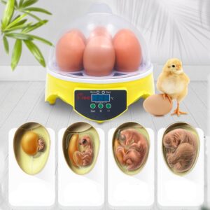 Kiaušinių inkubatorius 7 kiaušiniams su temperatūros valdymu kaina internetu