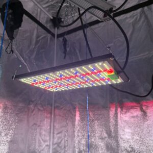 LED augalų panelė PROFI kaina internetu