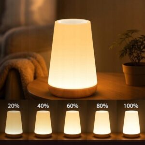 LED naktinė lempa su pulteliu ir lietimui jautriu valdymu kaina internetu