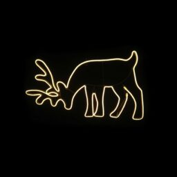LED neoninis elnias kaina internetu