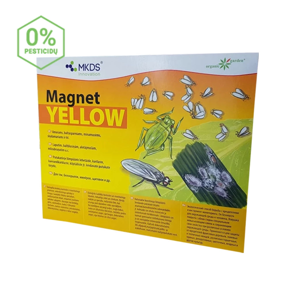 MAGNET yellow (20x25 cm) – baltasparnių, amarų, blakučių gaudyklė kaina internetu