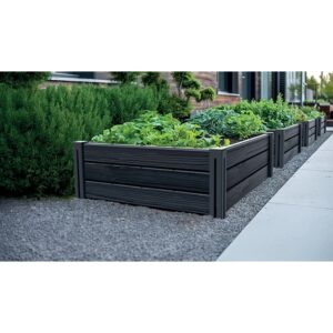 Pakelta lysvė Base Plant 75,6 × 61,8 × 23 cm, ruda (83 l) kaina internetu