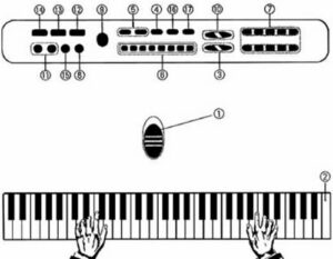 Pianinas Su Mikrofonu kaina internetu