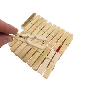 Skalbinių segtukai "Bamboo" kaina internetu