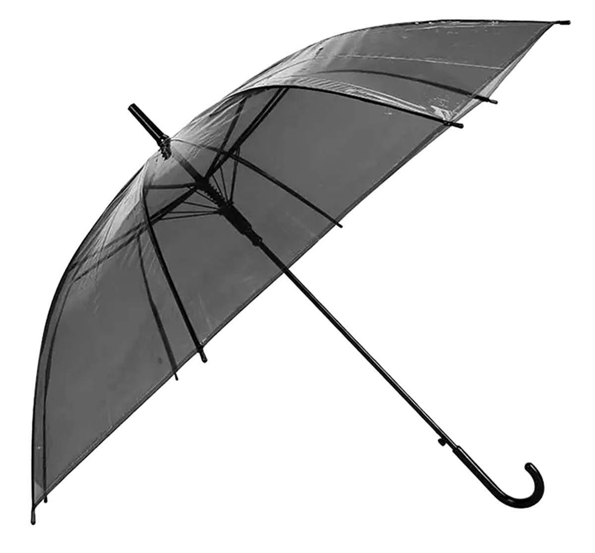 Skėtis HAPPY RAIN (Skaidri/Juoda) kaina internetu