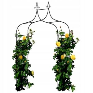 Sodo pergola augalams 150 × 37 × 240 cm, metalinė, juoda kaina internetu