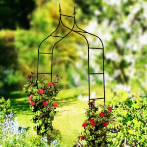 Sodo pergola augalams 150 × 37 × 240 cm, metalinė, juoda kaina internetu