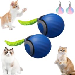 USB žaislas katei kaina internetu