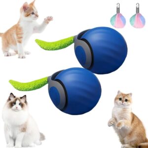 USB žaislas katei kaina internetu
