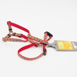 XS/10 Petnešos Hunter kaina internetu
