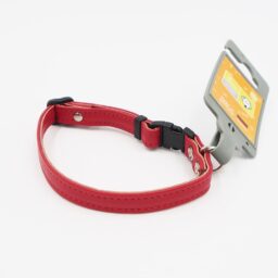 XS antkaklis Hunter H7112 kaina internetu