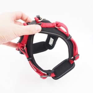 XS petnešos Hunter 64212 kaina internetu