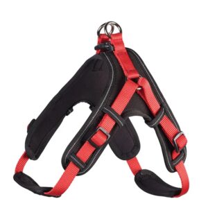 XS petnešos Hunter 64212 kaina internetu
