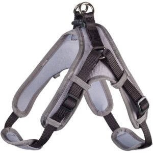XS Petnešos Hunter 64217 kaina internetu
