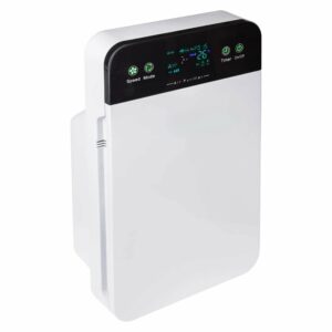 Oro valytuvas su HEPA filtru ir jonizacija kaina internetu