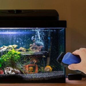 Magnetinis akvariumo stiklo valiklis su grandikliu kaina internetu
