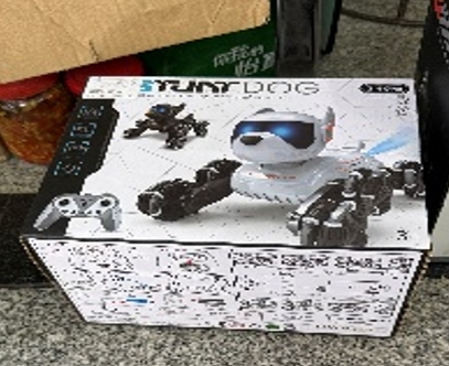 Interaktyvus nuotoliniu būdu valdomas robotas šuo TR2384C kaina internetu