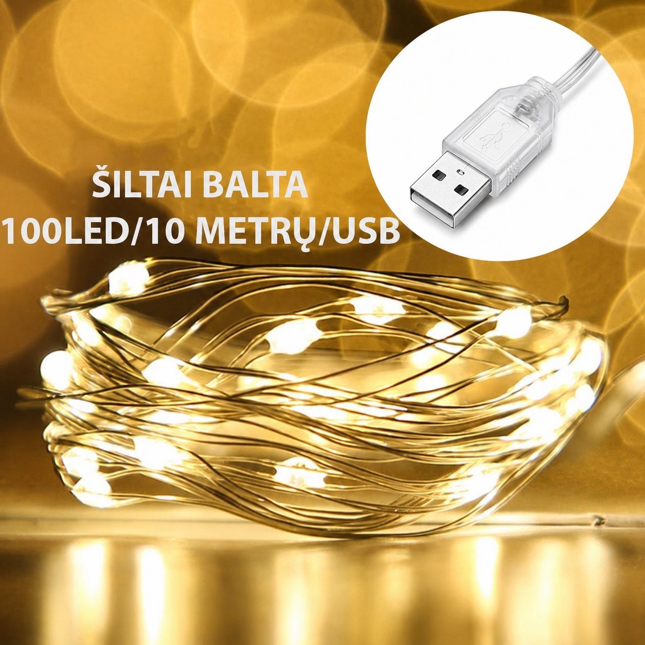 USB LED girlianda, 100 LED, 10 m, šiltai balta kaina internetu