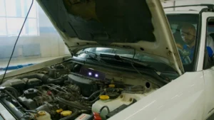 Automobilinis kiaunių, pelių ir žiurkių baidytuvas su LED blyksniais, maitinamas baterijomis kaina internetu